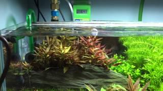 Mr. Aqua 12 Gallon Planted Aquarium Tank