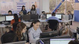 Google AdWords Premier SMB Partner | White Shark Media