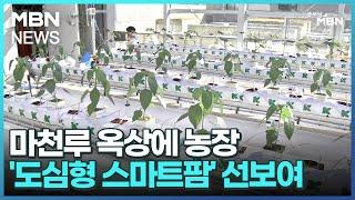 마천루 옥상에 농장…'도심형 스마트팜' 선보여 [굿모닝 MBN]