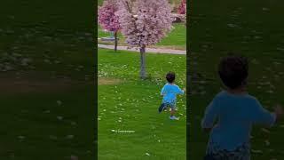 Whimsical Moments:Baby's Priceless Reaction to Cherry Blossoms  #shortsfeed #shorts #blossom #cute