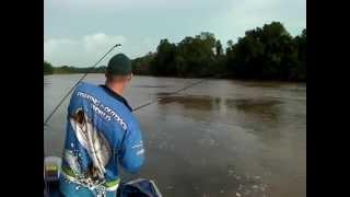 Daly River Barra Madness