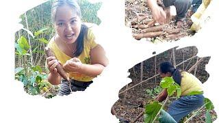 Uprooting Cassava by Loreli Ayuban