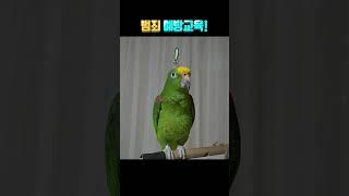 앵무새 범죄 예방교육!