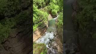 В каком замечательном месте у нас новый домик #garden #gardenlife #дача #огород #shorts