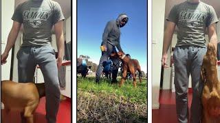 Train your Vizsla  ||  Vizsla training best  videos 2022 #3 #vizsla  #vizslas