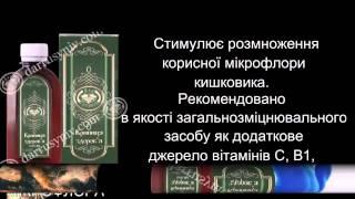 Дар Русинов:  от шумеров до наших дней