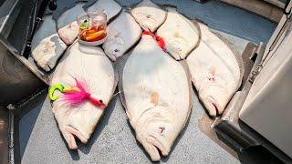 Summer Flounder (Fluke) Get Bigger as Jig and Gulp Fishing Heats Up!