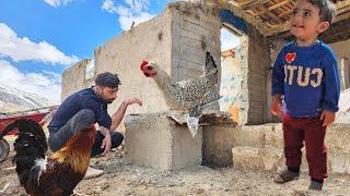 Building a Chicken Nest for Storage: DIY with Khalil