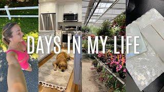 HOME VLOG: new rugs, backyard landscaping plans, kitchen tile shopping, etc.