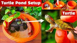 Turtle pond setup || Turtle Pond setup at home || Turtle pond making || Turtle from Pari Aquarium 