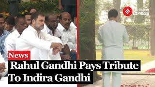 Lok Sabha LoP Rahul Gandhi pays tribute to grandmother Indira Gandhi on her death anniversary