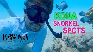 Best Snorkeling Big Island Guide: Kona Snorkeling in Kailua Bay