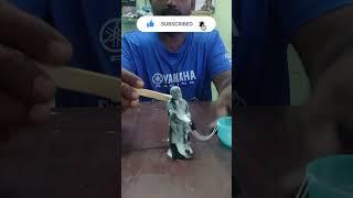 Sai Baba Mold Making Using Silicone Rubber #omsairam #omsaibaba #omsai #sairam