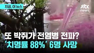 또 박쥐가 전염병 전파? '치명률 88%' 6명 사망｜지금 이 뉴스