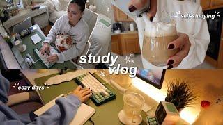 a cozy study vlog ─ ⋆⋅ | self-studying, movie nights, productive morning routine