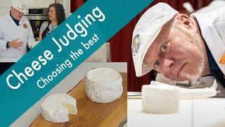 What Makes a Cheese a Winner? A Cheese Judge Shows You How to Judge a Cheese