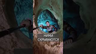 Девушка ЗАЛЕЗАЕТ в пещеры под водой: Клаустрофобы тут?