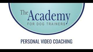 Personal Video Coaching at The Academy for Dog Trainers