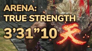 [MH Wilds] Arena: True Strength 3'31"10 (Akuma)
