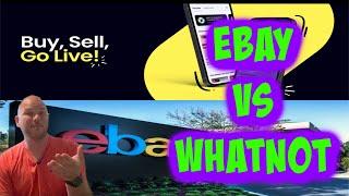 Ebay vs WhatNot Selling, Profit Battle 2023