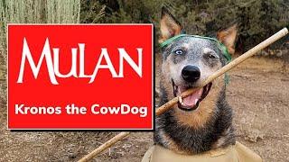 Kronos the Cattle Dog: A Canine Take on 'I'll Make A Man Out Of You' from Mulan