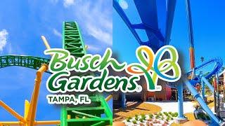 Every Busch Gardens Tampa Roller Coaster POV (Front Row)