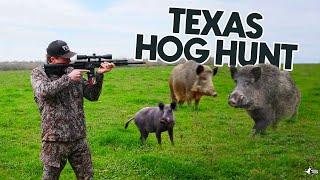 HOG HUNTING In Texas | MASSIVE BOAR DOWN!!!