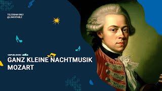 Mozart - Ganz kleine Nachtmusik (Full Length)