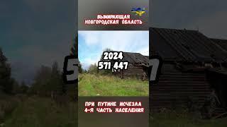 Вымирающая Новгородская область Исчез каждый 4 русский #иван4 #новгород #новгородская #приколы #сво