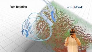 ZEISS & arivis InViewR: Virtual Reality Solution for 3D Imaging in Life & Medical Sciences