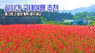 국내 여행 추천 실시간으로 알려드림 BEST #국내여행 #여행추천