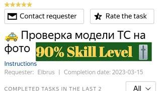  Проверка модели ТС на фото Toloka | Russian Task | Traning plus Exam | 90% Skill#44kedits