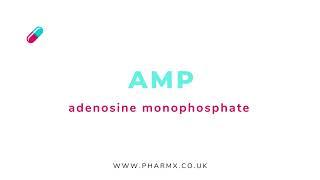 AMP | Adenosine Monophosphate | Pronunciation