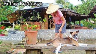 A Simple Life in the Philippines | Philippine Countryside | Buhay Bukid Buhay Probinsya @amigacha