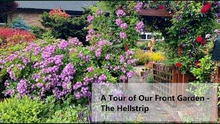 A Tour of Our Front Garden - The Hellstrip