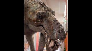 Gorgonops