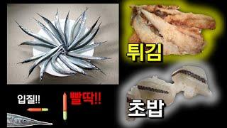 2타 1피 영덕 학꽁치 낚시!! 빨딱 서면 빨리 낚아채라!! (학꽁치 튀김과 학꽁치 초밥은 최고의 안주) How to catch spipefish in Korea.