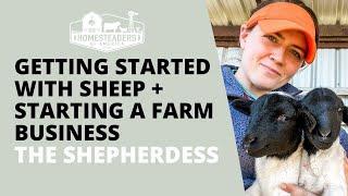 Getting Started with Sheep + Starting a Farm Business | Grace the Shepherdess