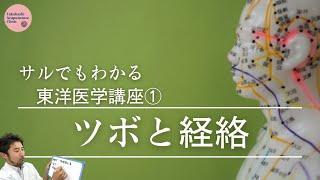 【ツボと経絡とは？】超カンタン入門編【サルでもわかる東洋医学講座①】