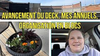 Deck, fleurs annuels, organisation en bloc