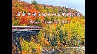 20221006亚加华峡谷观光列车赏枫之旅 | Agawa Canyon Tour Train | 新娘面纱瀑布Bridal Veil Falls | 黑狸瀑布Black Beaver Falls