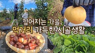 sub)Country life full of foods! pears, chestnuts, cabbages, aronia, peppers, making Korean dish