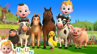 Moo Moo  Oink Oink !  Animal Sound Song | Nursery Rhymes & Kids Songs | NuNu Tv