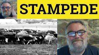  Stampede Meaning - Stampede Examples - Stampede Definition - Stampede