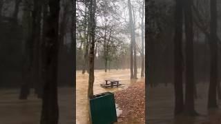 Наводнение #наводнение #новостисша #сша #граждане мира