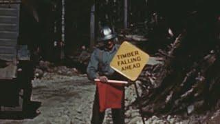 “Timber Felling” 1940’s lumberjack & Lumber industry film