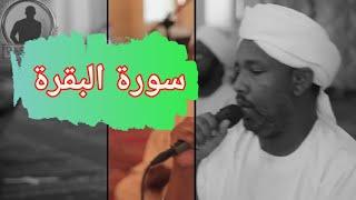 Surah Al-Baqarah complete | Beautiful and very special recitation | Sheikh Al-Zein Muhammad Ahmad 