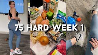 FITNESS VLOG: 75 HARD WEEK 1, Daily Health Routine, Grocery Haul for a Meal Prep