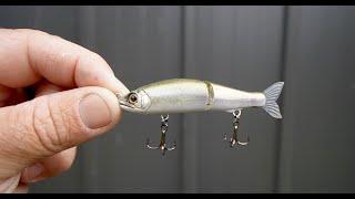 Trout love this Swimbait