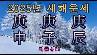 2025년 을사년 새해운세 경신 경자 경진 - 피클명리